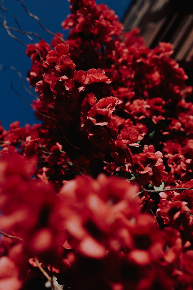 Photograph by Илья Мельников