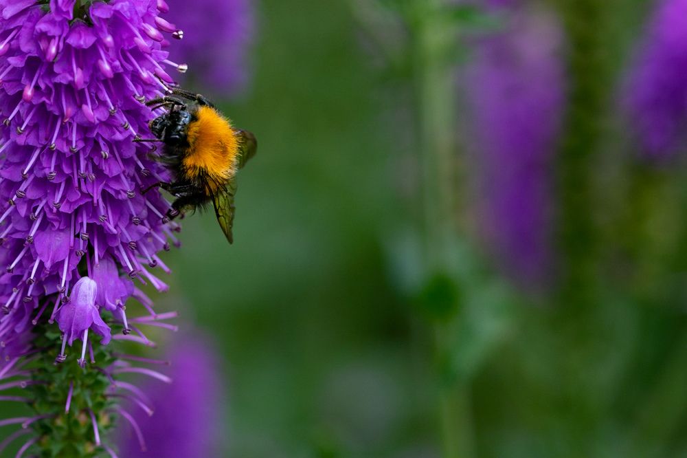 Photograph by Oleg Kozachok