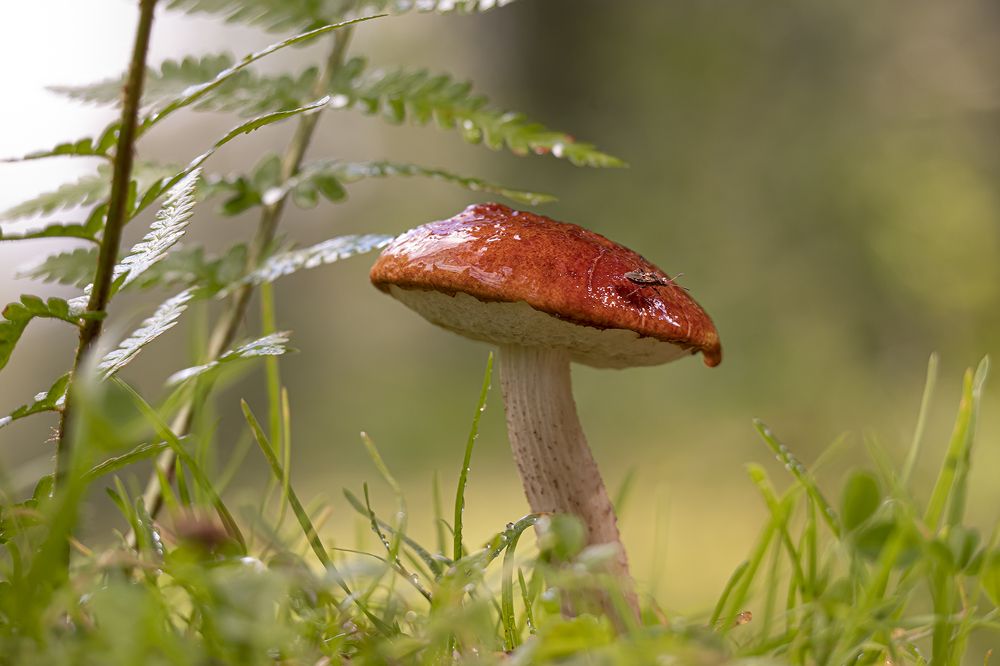 Photograph by Екатерина Бурикова