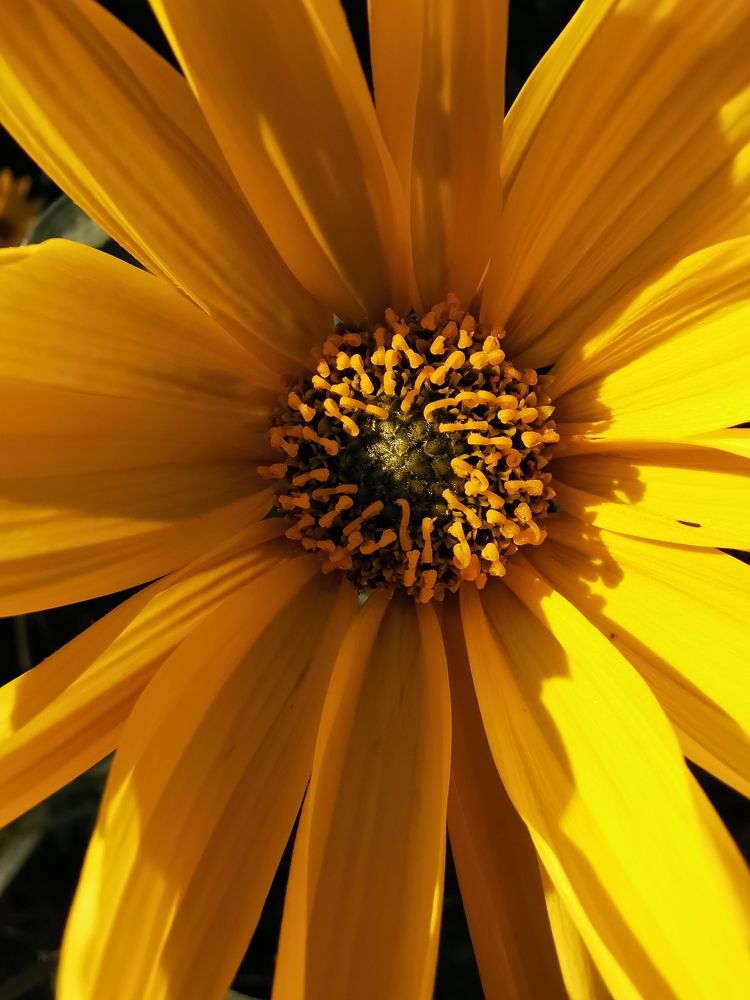 Photograph by Михаил Жарский