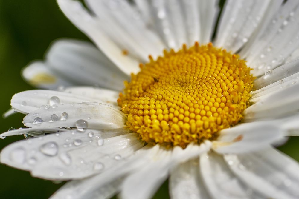 Photograph by Устинов Андрей