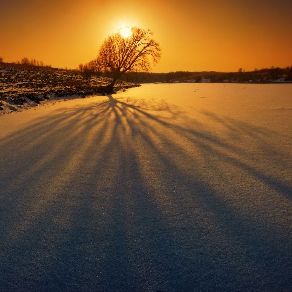 Photograph by Владимир