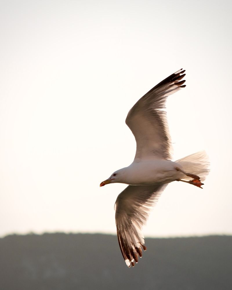 Photograph by Nastasya Sablina