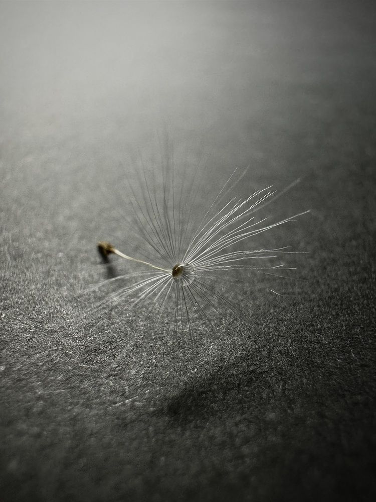 Фотография автора Евгения Елисеева