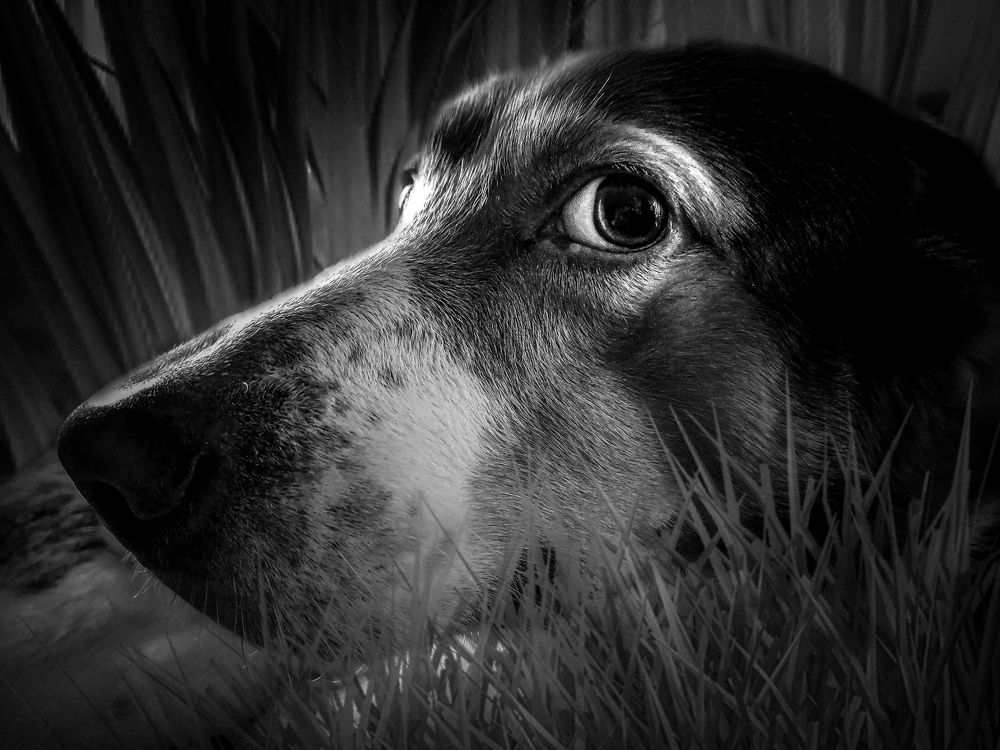 Photograph by Erika Checherina