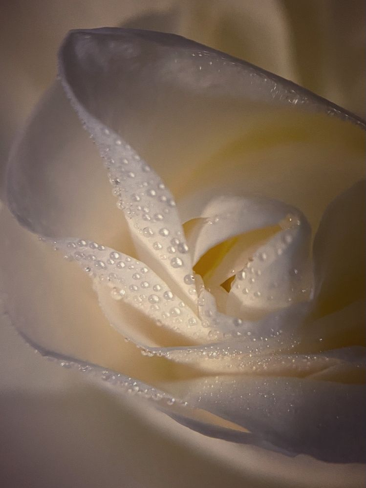 Photograph by Ирина Кудряшова