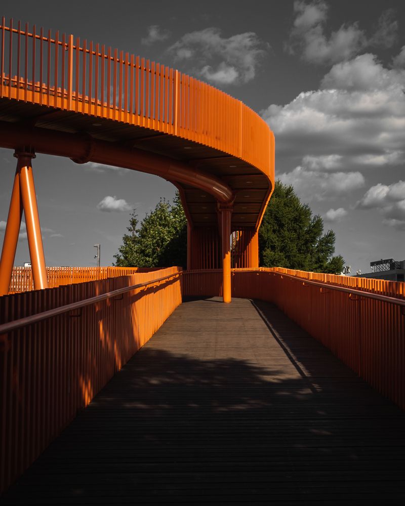 Фотография автора Романов Олег