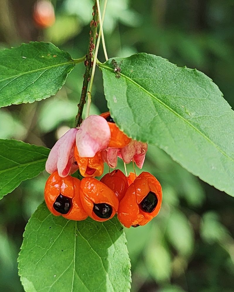 Photograph by Ольга Воронцова