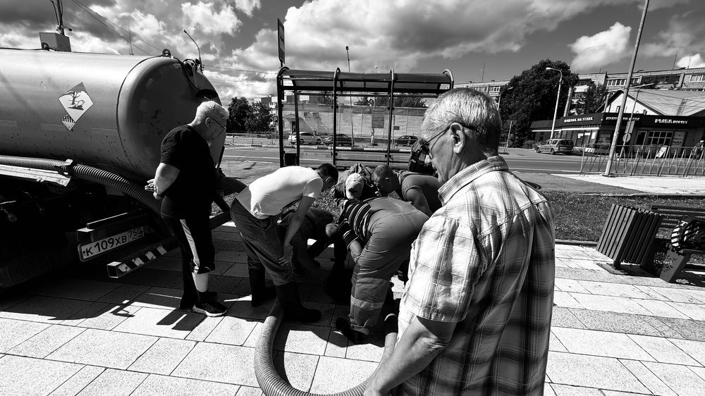 Photograph by Светлана