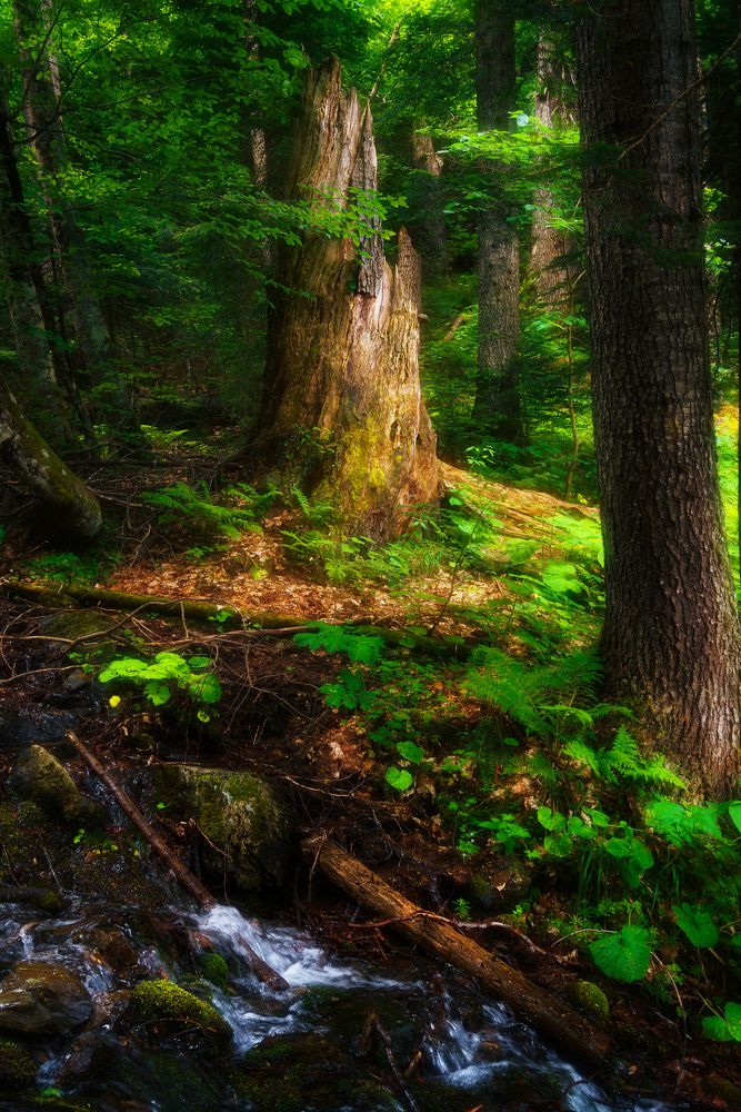 Photograph by Павел Абакумов