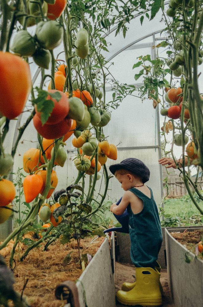 Photograph by Дарья Бышек