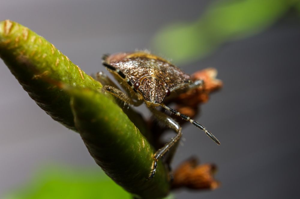 Фотография автора Ulfhednar0110