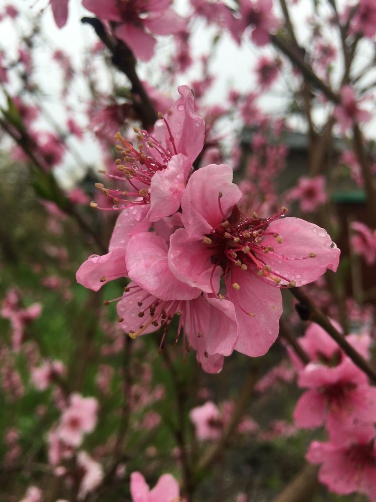 Photograph by Ангелина Марушко