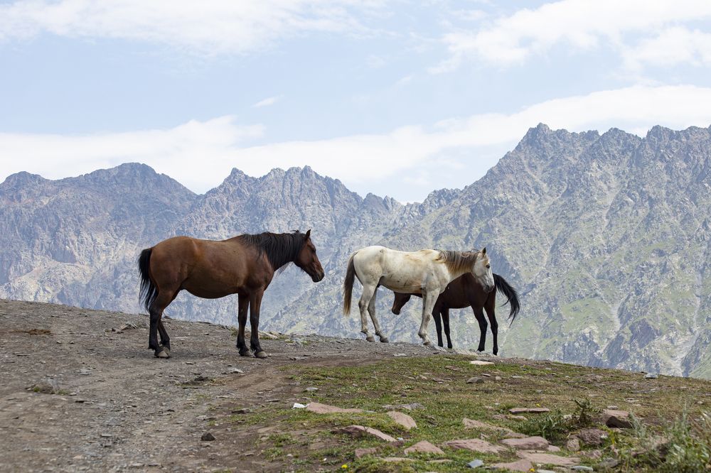 Photograph by Christina Oleshkevich