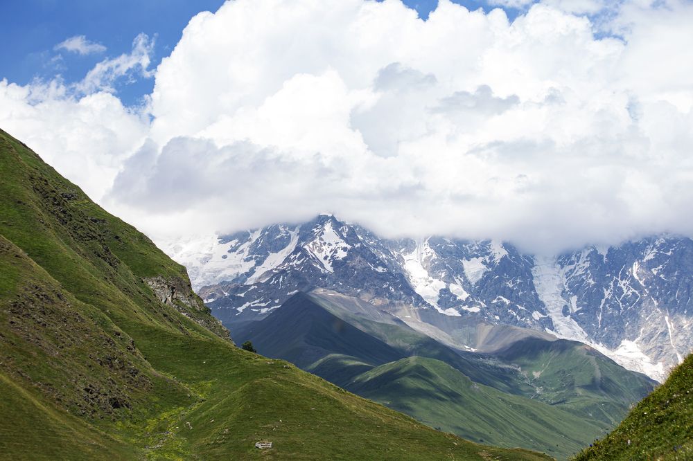 Photograph by Christina Oleshkevich