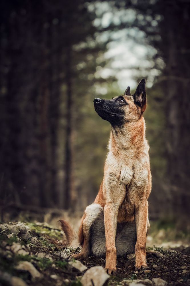 Фотография автора Viktória Bertha