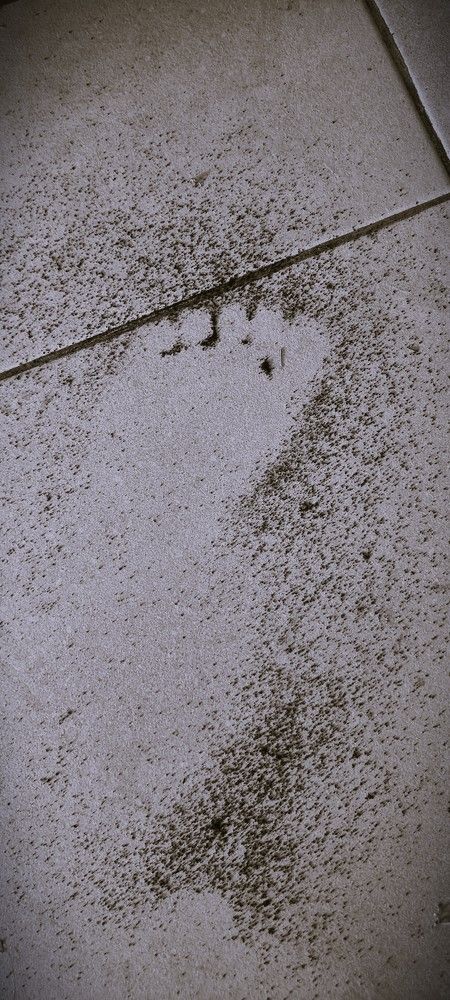 Photograph by Gr Marie