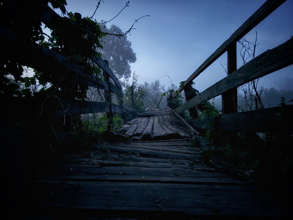 Photograph by Мозжухин Максим