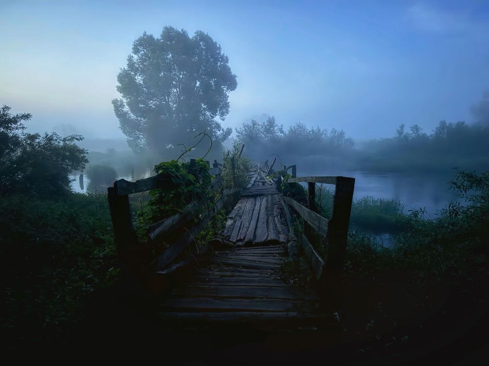 Photograph by Мозжухин Максим