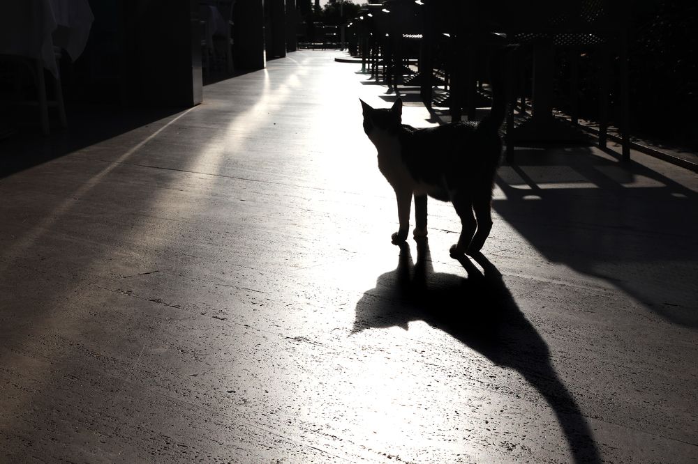 Photograph by Наталья Суслова