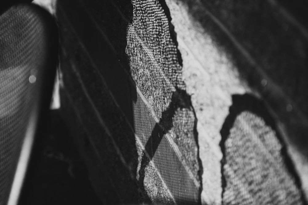 Фотография автора Ray Asiala