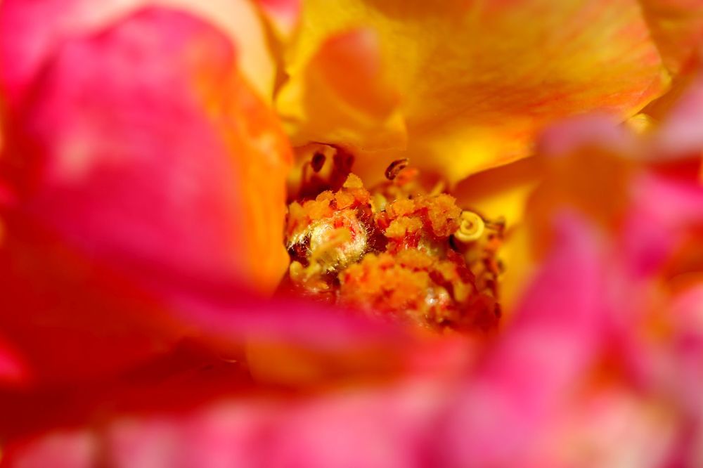 Photograph by Юрий Варюхин