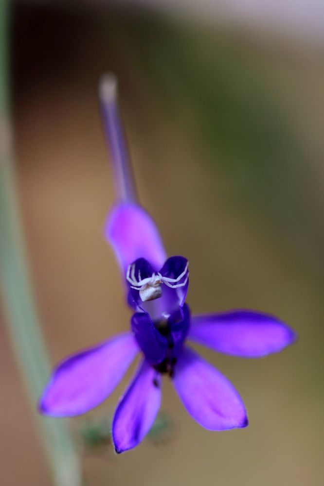 Photograph by Юрий Варюхин