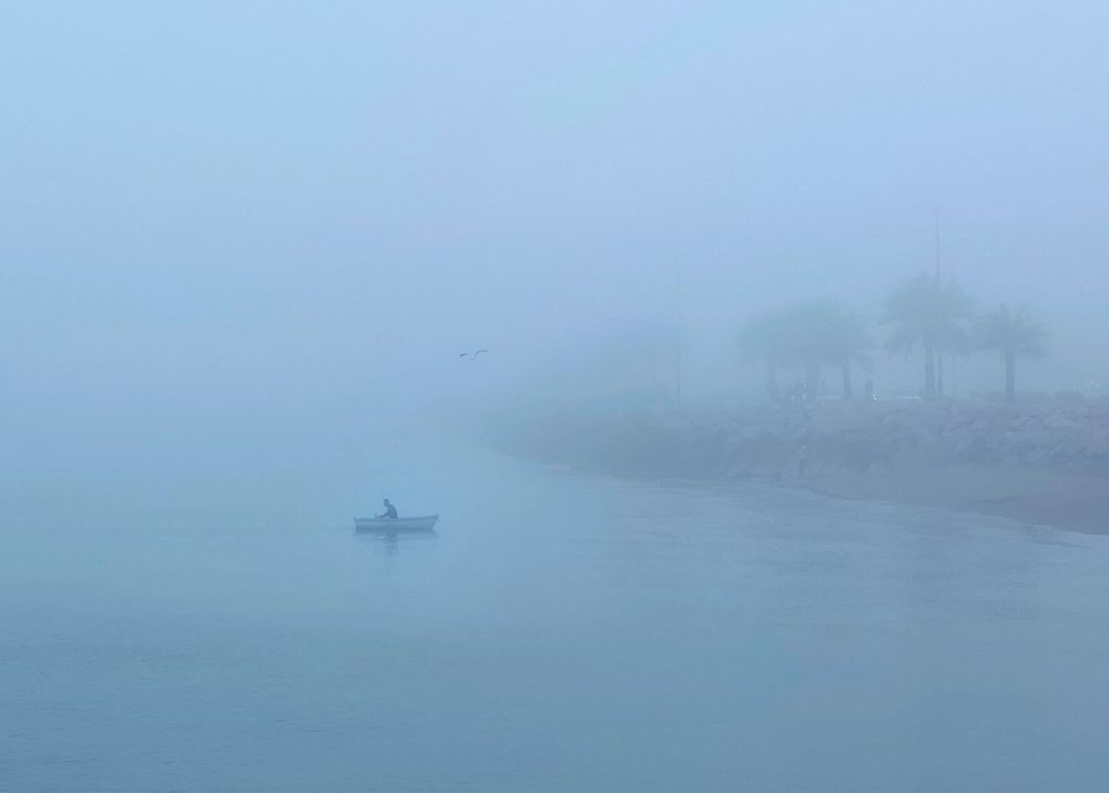 Photograph by Mobin Mayeli