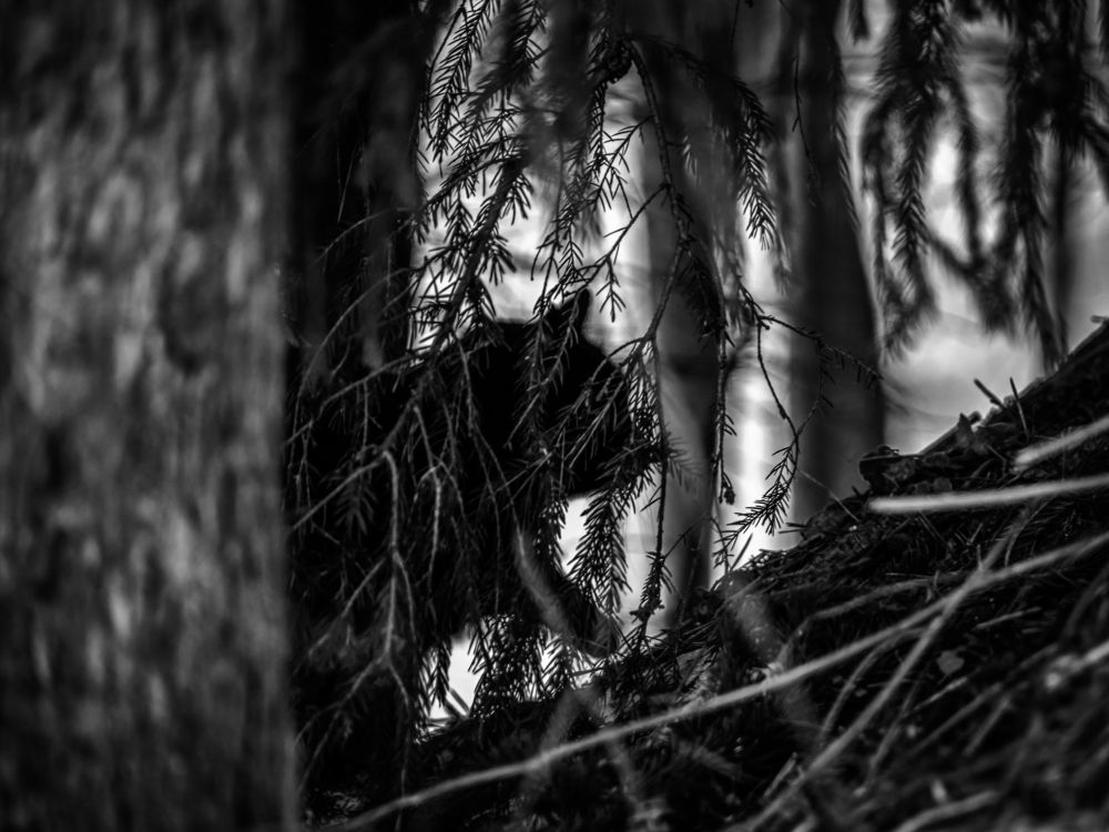 Photograph by Сергей Хабаров