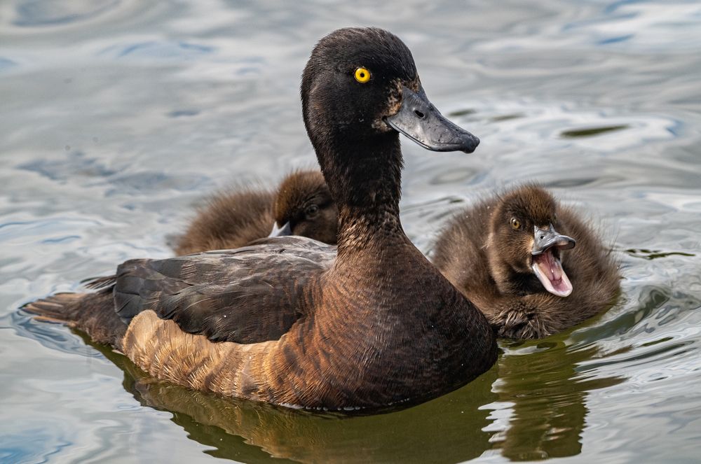 Photograph by Савчук Сергей