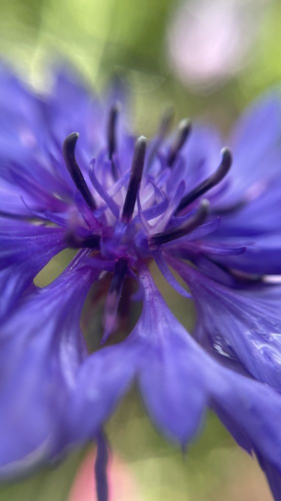 Photograph by Людмила Казак