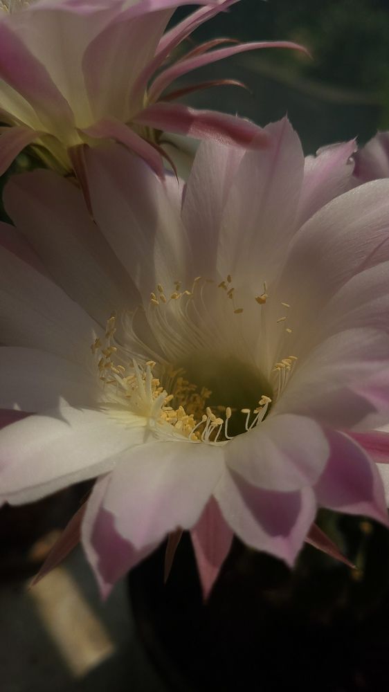 Фотография автора Татьяна Прашкевич