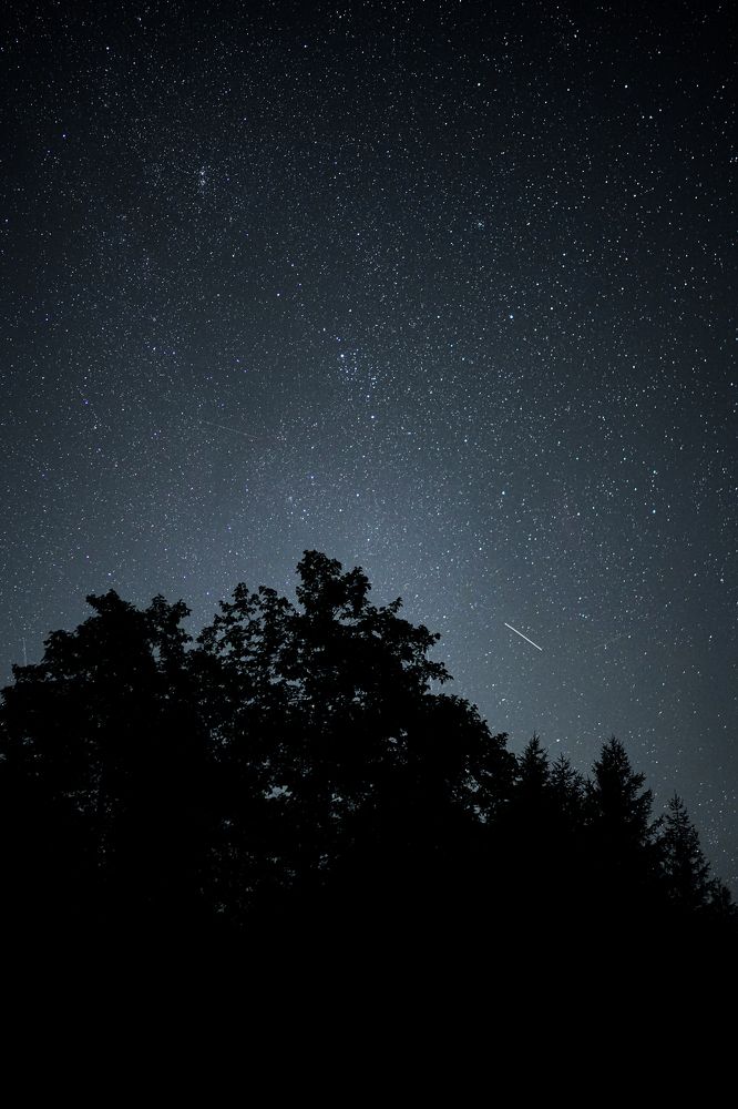 The nights of my city