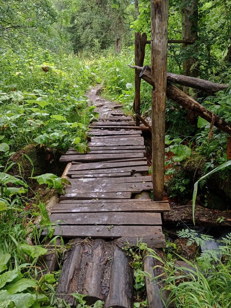 Photograph by Галина Григорьева