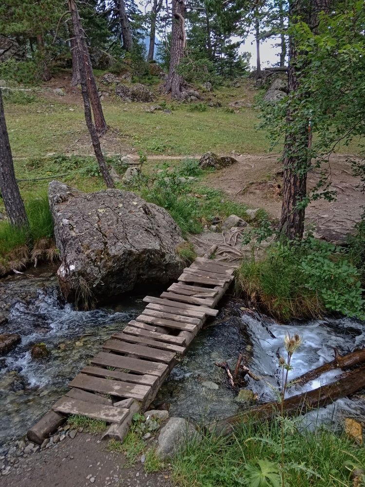 Photograph by Галина Григорьева