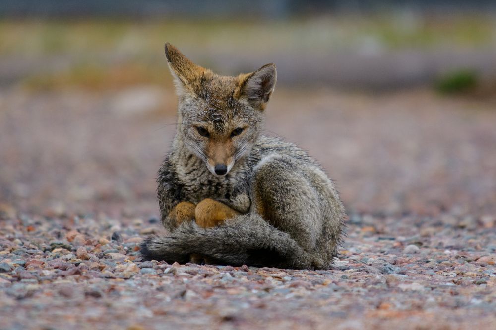 Photograph by Facundo Fernández