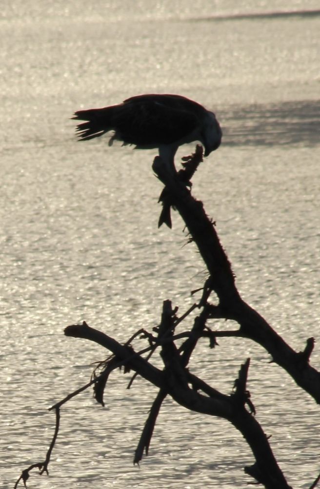 Photograph by Waleed Yousuf Alwahaibi