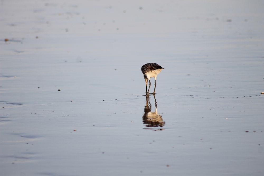 Photograph by Waleed Yousuf Alwahaibi