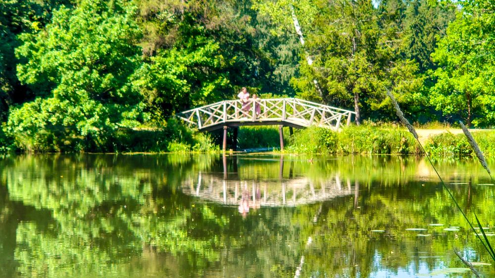 Фотография автора Elena Ku