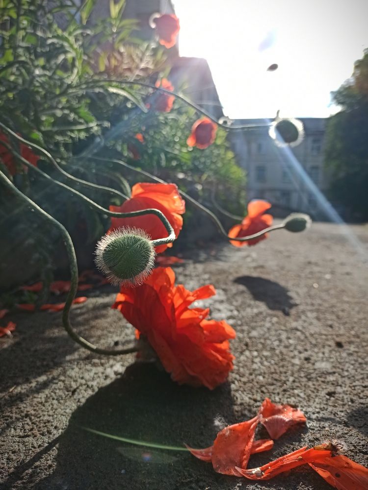 Photograph by Руслана Рудаковская