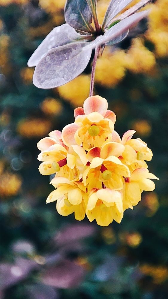 Photograph by Selina Marina