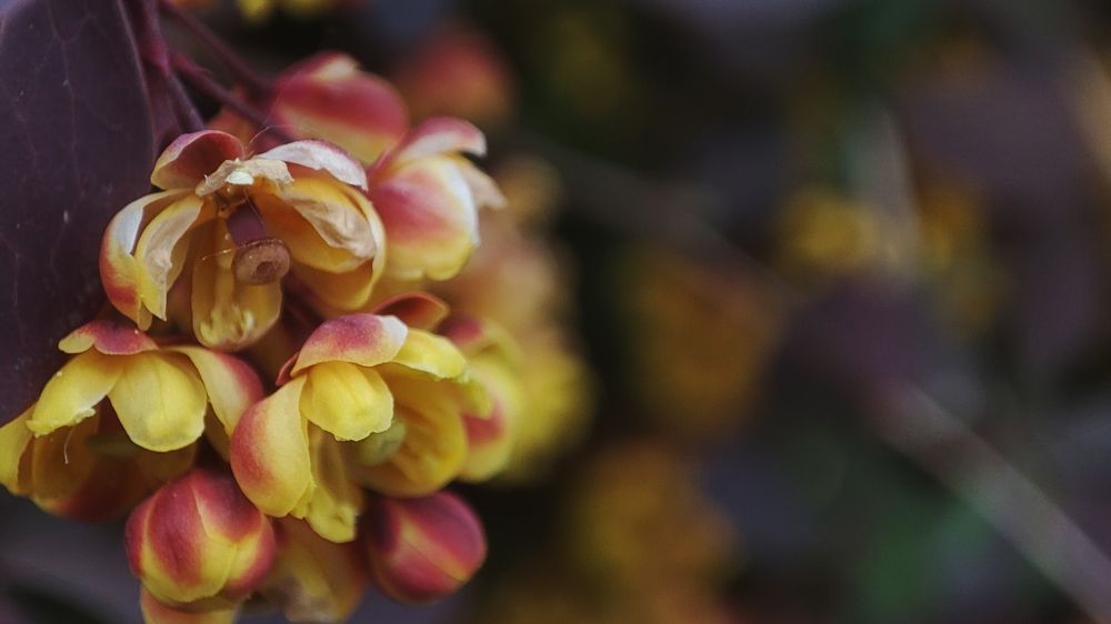 Photograph by Павел Герасимов