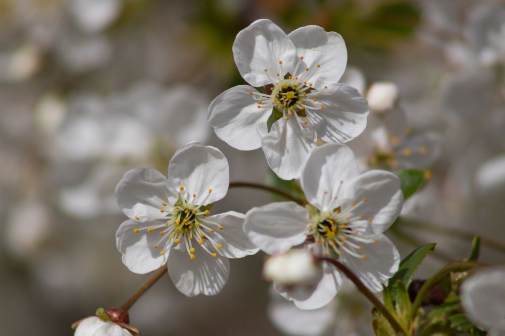 Photograph by Павел Герасимов