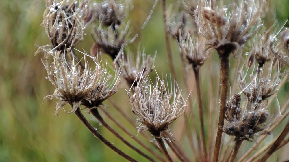 Photograph by Павел Герасимов