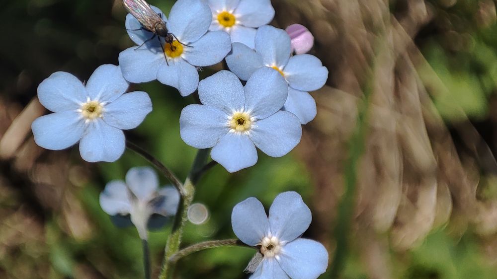 Photograph by Павел Герасимов