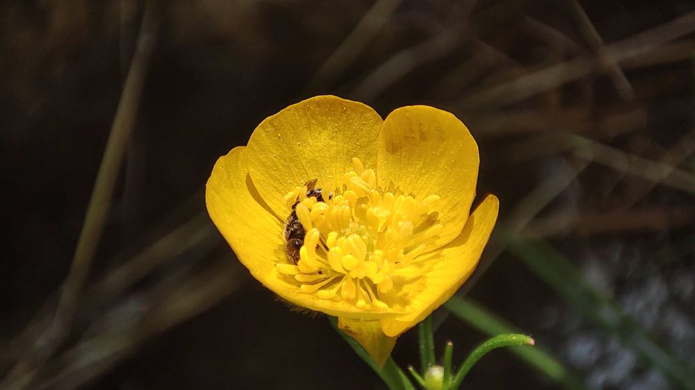 Photograph by Павел Герасимов