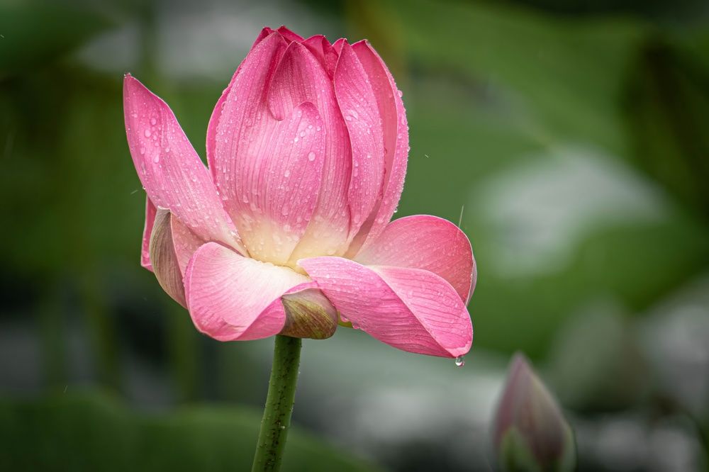 Photograph by Игорь Иванов