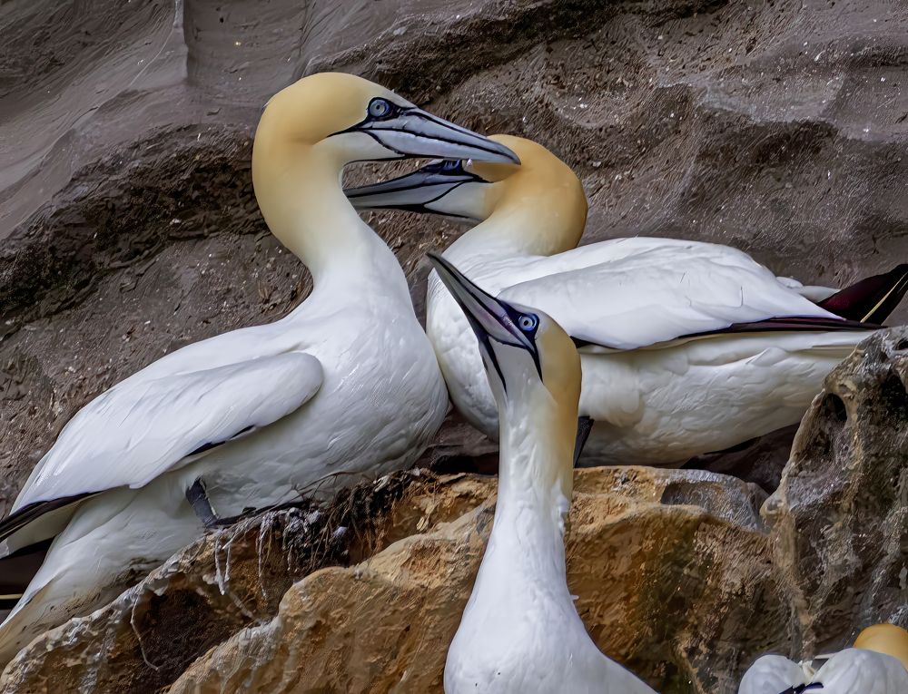 Фотография автора gagarin andrey