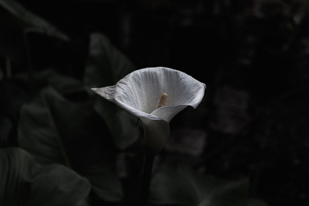 Photograph by Мария Покотилова