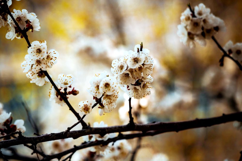 Photograph by Мария Покотилова